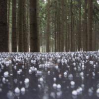 Airsoft (Pelhřimov) Airsoft (Pelhřimov)