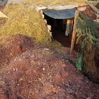 Bagration (Letovice)