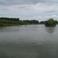 Březnické plavání Březnické plavání