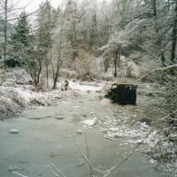 Coronavirové vzpomínání