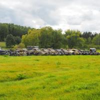 Fahrschule Tschimelitz