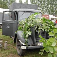 Friends Fest Friends Fest