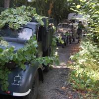 Friends Fest Friends Fest