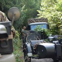 Friends Fest Friends Fest