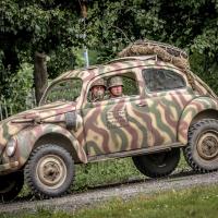 Friends Fest Friends Fest