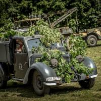 Friends Fest Friends Fest