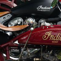 Friends Fest Friends Fest