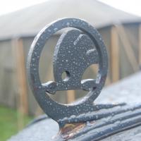 Friends Fest Friends Fest