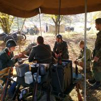 Gótská linie (Milovice)