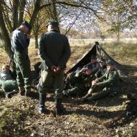 Gótská linie (Milovice)