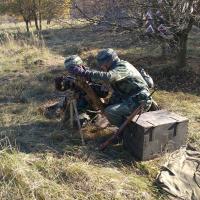 Gótská linie (Milovice)