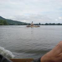 Plavání vodníků Plavání vodníků