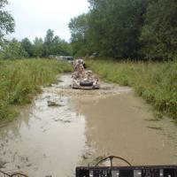 Plavání vodníků Plavání vodníků