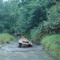 Plavání vodníků Plavání vodníků