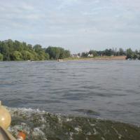 Plavání vodníků Plavání vodníků