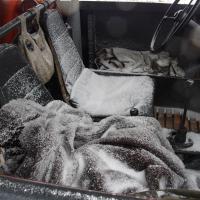 Plavání vodníků Traunsee