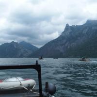 Plavání vodníků Traunsee