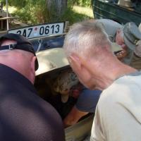 Plavba Baťovým kanálem