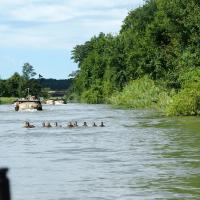 Plavba Baťovým kanálem