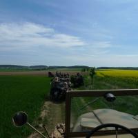 Rückmarsch Rückmarsch