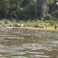 Masojídek (Rychnov) Masojídek (Rychnov)