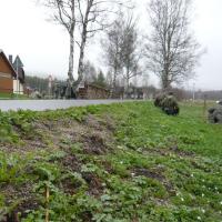 Rückmarsch Rückmarsch