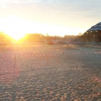 Sahara (Slovensko) Sahara (Slovensko)