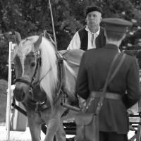Sazená v běhu století 1918 - Sazená v běhu století 1918 -