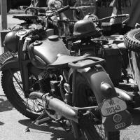 Sazená v běhu století 1918 - Sazená v běhu století 1918 -