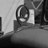 Sazená v běhu století 1918 - Sazená v běhu století 1918 -