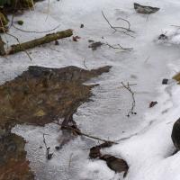 Schneemann (Šumava)