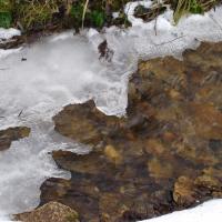Schneemann (Šumava)