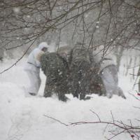 Schneemann (Šumava) Schneemann (Šumava)