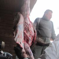 Schneemann (Šumava) Schneemann (Šumava)