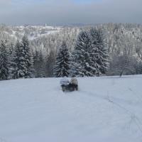 Schneemann (Šumava) Schneemann (Šumava)
