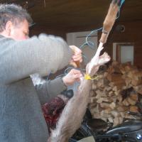 Schneemann (Šumava) Schneemann (Šumava)