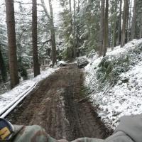 Schneemann (Šumava)