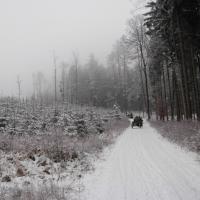 Schneemann (Šumava)