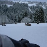 Schneemann Schneemann