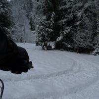 Schneemann Schneemann