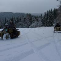 Schneemann Schneemann