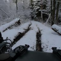 Schneemann Schneemann