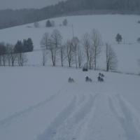 Schneemann Schneemann