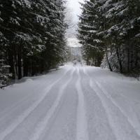 Schneemann Schneemann