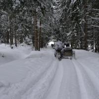 Schneemann Schneemann