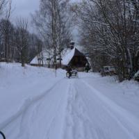 Schneemann Schneemann