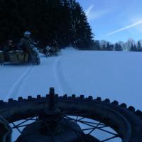 Schneemann Schneemann