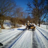 Schneemann Schneemann