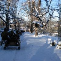 Schneemann (Šumava)