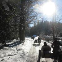 Schneemann (Šumava)